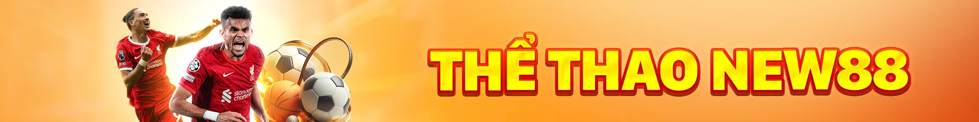 THỂ THAO NEW88